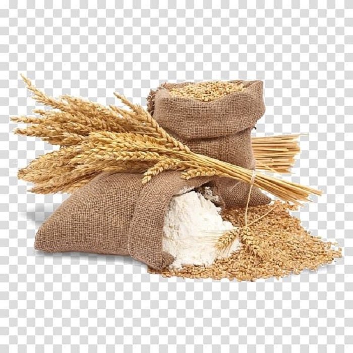 High Quality 25kg Bulk or Bag Gluten-free Organic Wheat Flour with Whole Germ From Thailand - Image 6
