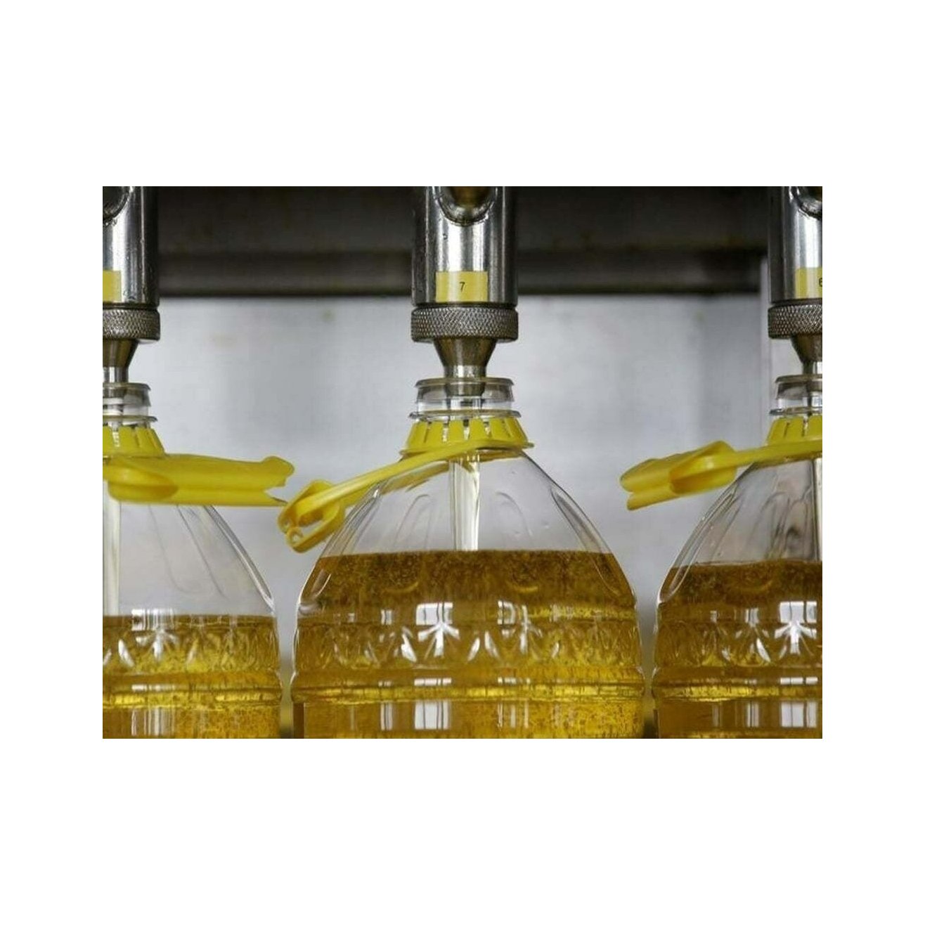 100% Pure Edible Sunflower Oil Best Vegetable Cooking Oil at Prices Best of Plants Oil - Image 5