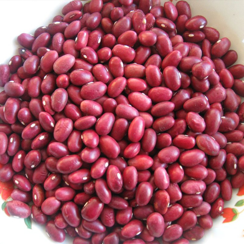 High Quality Dark Red Kidney Beans Small Size Wholesale Export Kidney Beans