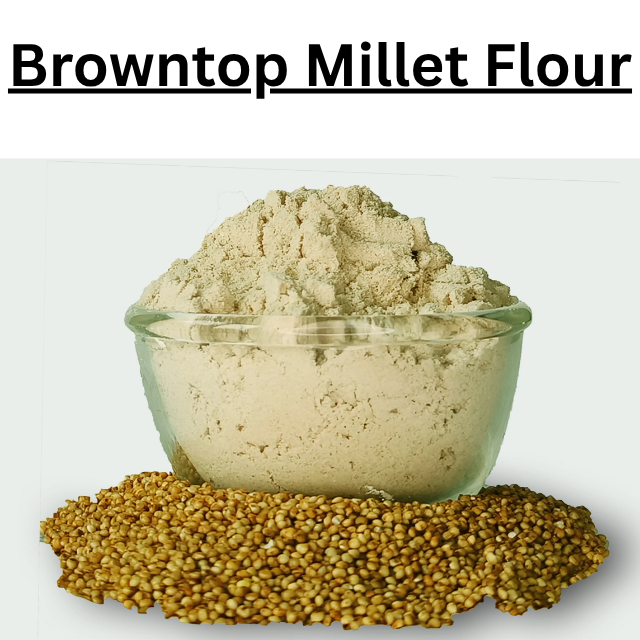 Premium Organic Browntop Millet Flour | Gluten-Free & High Fiber Whole Grain | ARDAS TRADERS | for Uttapam Porridge & Baby Food - Image 2