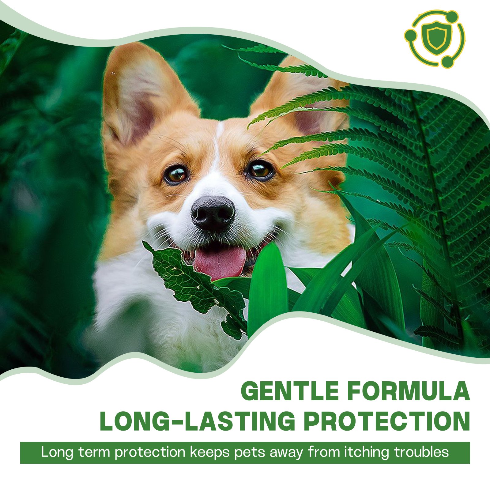 ODM/OEM Pet Nutrition Supplement Deworming Powder for Cats Dogs for Health Care Packed in Bottles Herbal Supplements - Image 5
