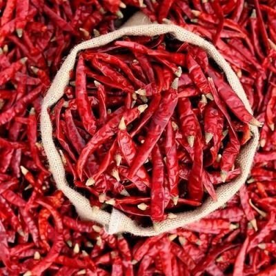 Wholesale Yulin Spice Various Seasoning Star Anise Cinnamon Fennel Cumin Chili Dried Ginger Turmeric - Image 2