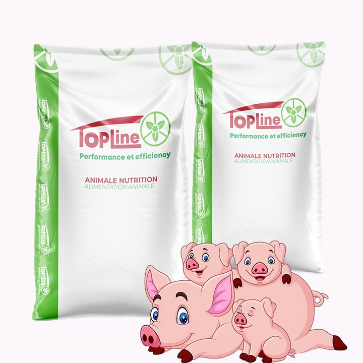 High Quality 2% 4% Pig Premix Feed Supplement Vitamin Enhancer for Piglets Sows Lactation Stage Pregnancy - Image 5