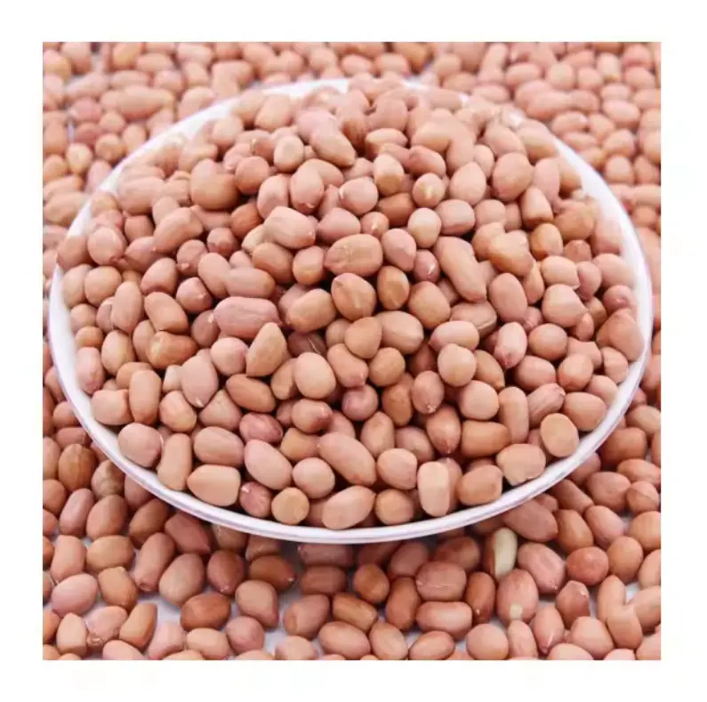 Factory Direct Sale-Special Discount-Hot Sale-Bulk Red-shelled Dried Peanut Kernels Chinese Raw Peanuts 3A Grade - Image 3