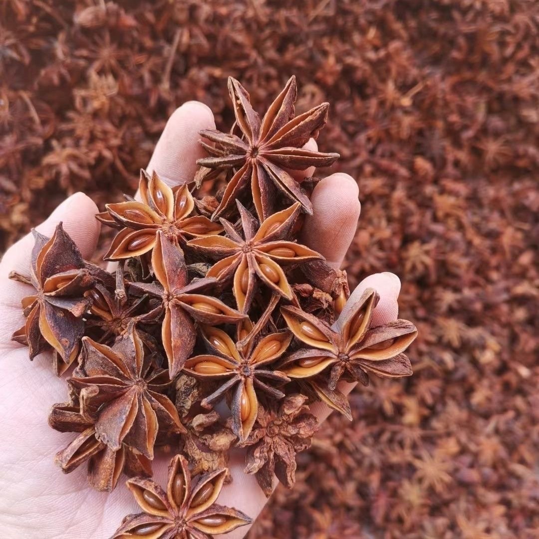 Wholesale Yulin Spice Various Seasoning Star Anise Cinnamon Fennel Cumin Chili Dried Ginger Turmeric - Image 5