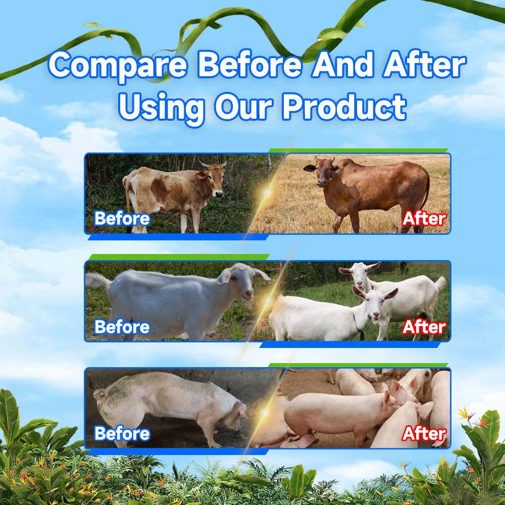 Quick Fattening Feed Supplements for Sheep and Goats Multivitamins Growth Booster Enhancer Powder Appearance Improved Birth - Image 2