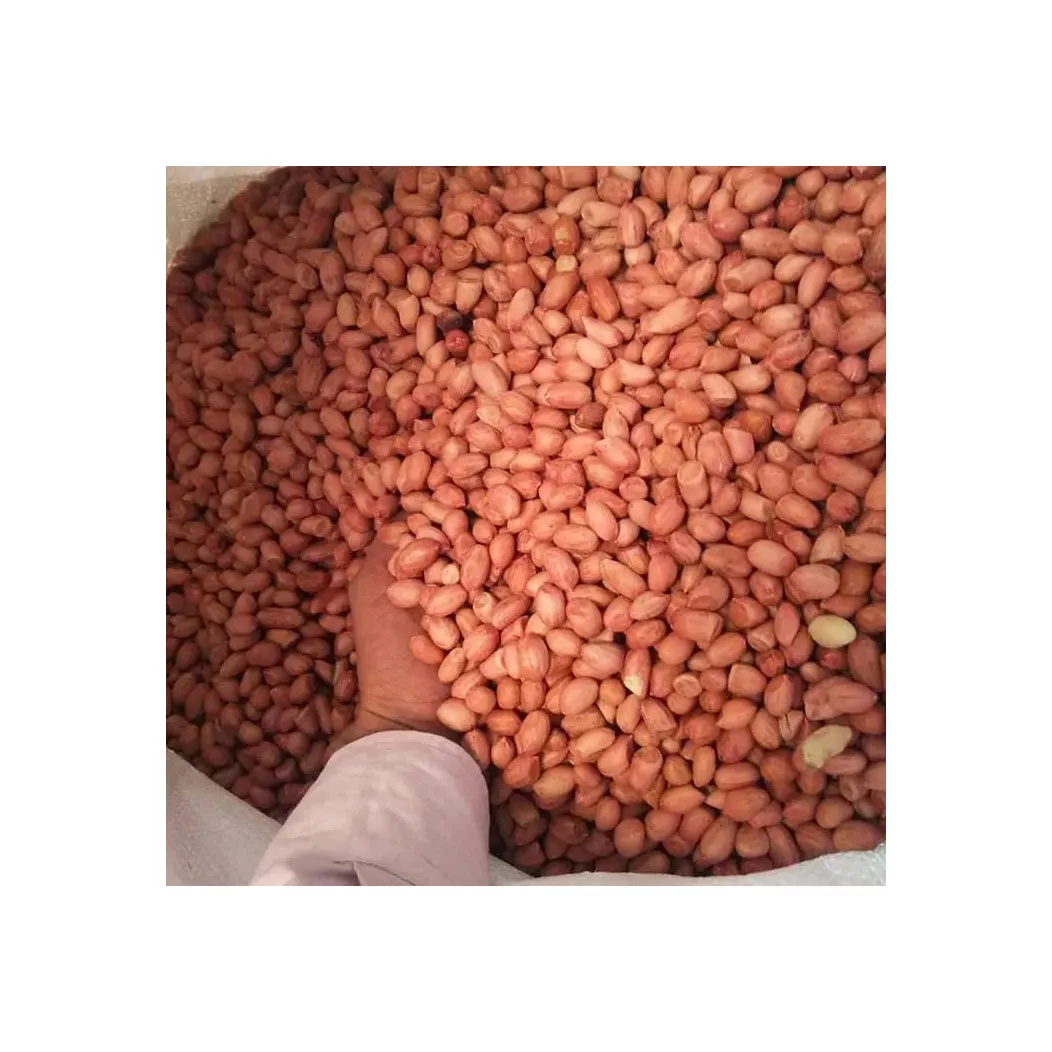 Factory Direct Sale-Special Discount-Hot Sale-Bulk Red-shelled Dried Peanut Kernels Chinese Raw Peanuts 3A Grade