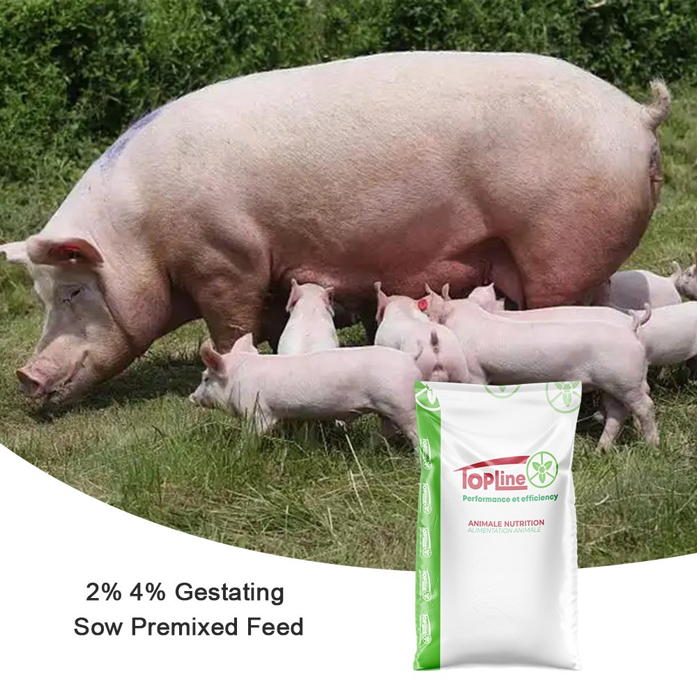 High Quality 2% 4% Pig Premix Feed Supplement Vitamin Enhancer for Piglets Sows Lactation Stage Pregnancy - Image 7