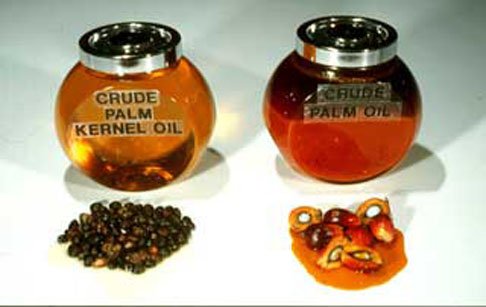 Bulk Edible Plant Oils Manufacturer, Wholesale Organic Malaysian Red Palm Oil 100% Pure & Natural | Crude, Non-GMO, Cold Pressed