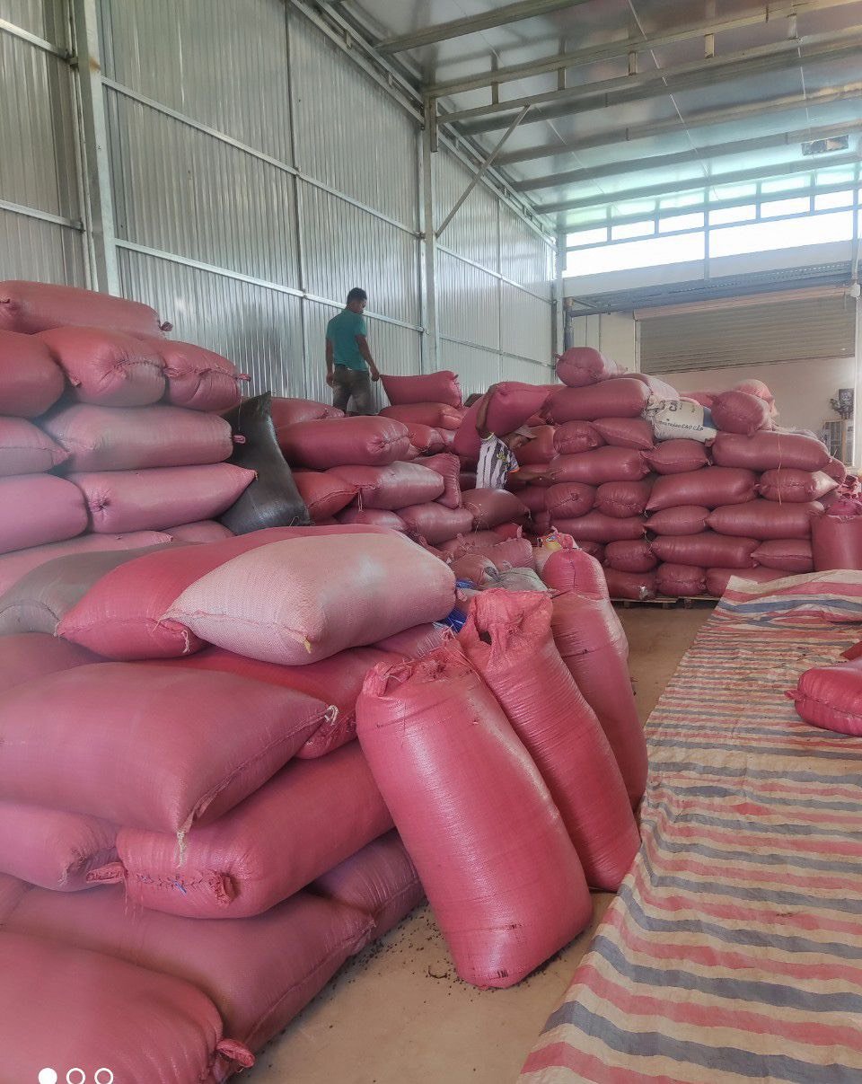 POULTRY FEED - High Protein Content Soybean Meal From Vietnam, Only Available in This Season, Low MOQ, Competitive Price - Image 6
